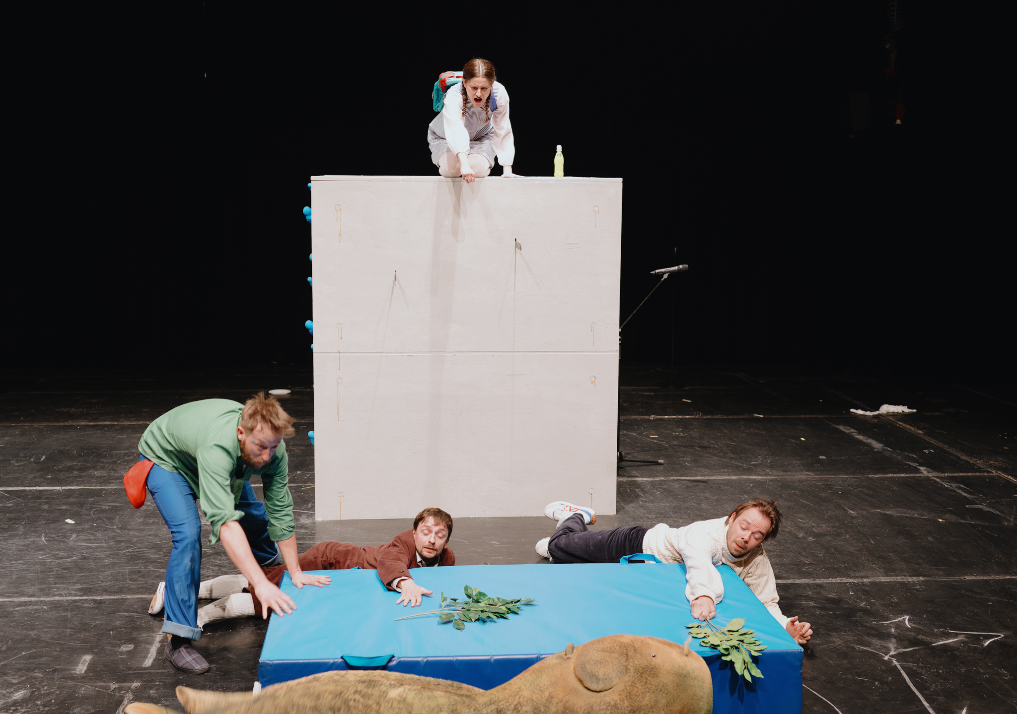 NZ6 0178 20241218 DxO DeepPRIME XD2s